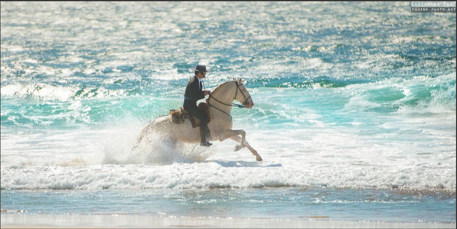 Ekaterina Druz - Equine Photography - CONQUERING THE OCEAN - Rider with his cremello horse in Atlantic waves